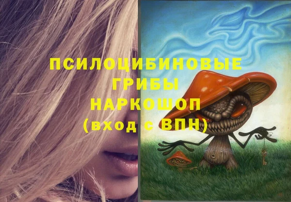 ешки Навашино