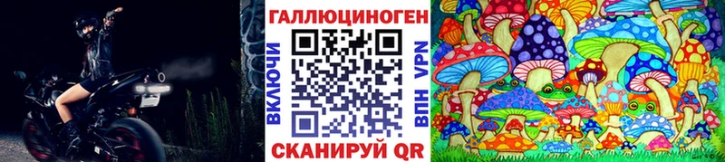 Псилоцибиновые грибы Psilocybine cubensis  Купить закладки  Питкяранта 